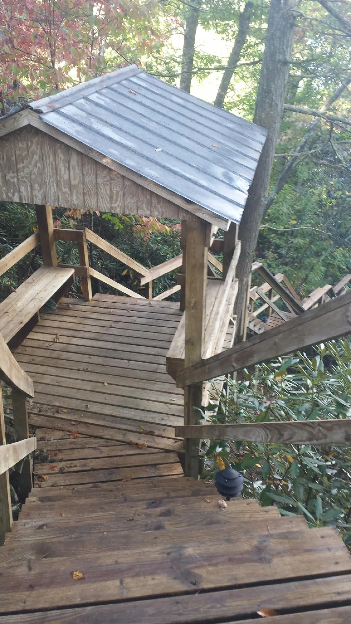 Metal roofed shelter over wooden steps on a wooded walkway — Skylight Repair & Installation work by our crew in Palmetto