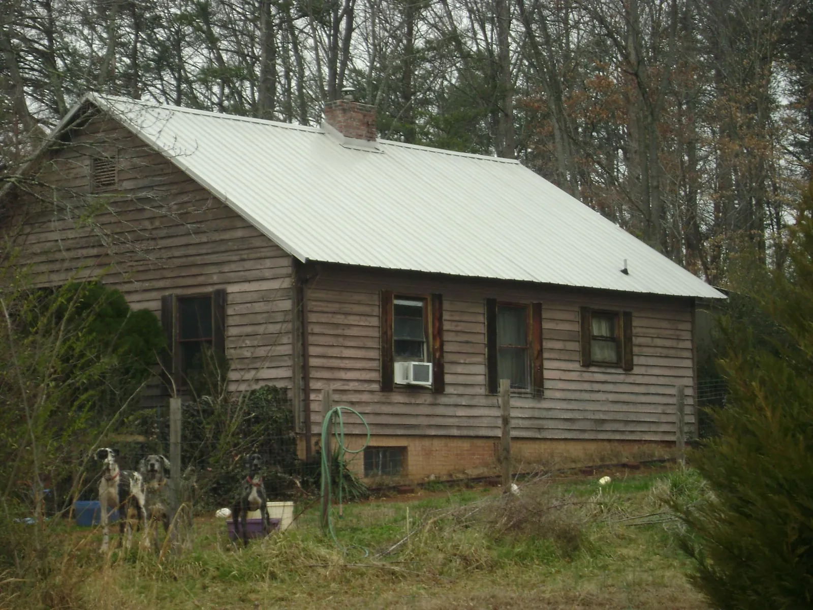 White metal roof on an old wood sided farmhouse, from a Asphalt Shingle Roof Repair job in Palmetto